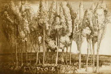 La danse du printemps