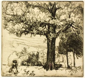 Le grand chêne