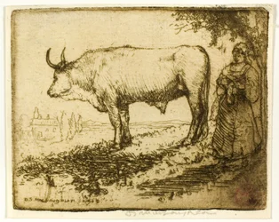 Le bœuf blanc