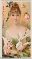 Cyclamen : Diffidence, de la série Beautés florales et langage des fleurs N75 pour Du..., 1892