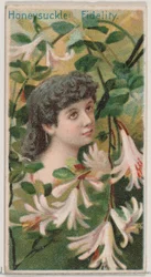Chèvrefeuille: Fidélité, de la série Beautés florales et langage des fleurs N75, 1892