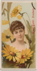 Souci : Mépris, de la série Beautés florales et langage des fleurs N75 pour Duke ..., 1892