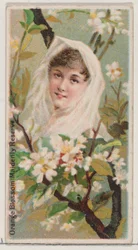 Fleur d