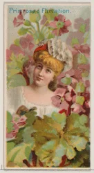 Primevère : Flirtation, de la série Beautés florales et langage des fleurs N75 pour Du..., 1892