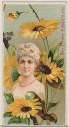 Tournesol : Orgueil, de la série Beautés florales et langage des fleurs N75, 1892