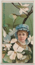 Violette blanche : Candeur, de la série Beautés florales et langage des fleurs N75 pour Du