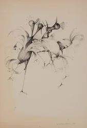 Oiseaux