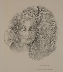 La malacologie