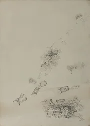 La larme