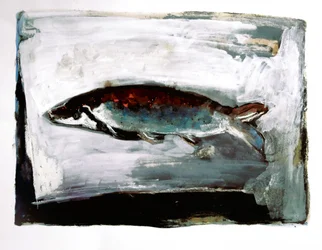 Poissons d