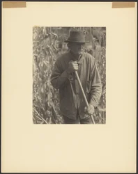 [Homme avec une houe dans un champ de sorgho].