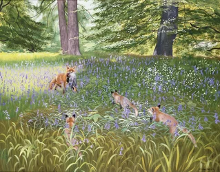 Renards dans les jacinthes