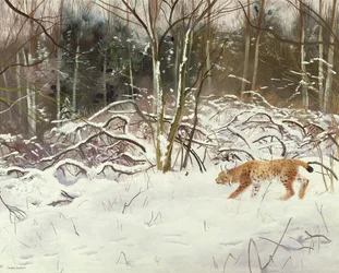 Le lynx et le lièvre