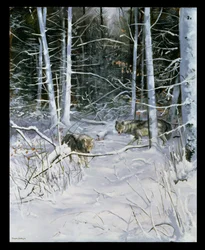 Loups dans une forêt enneigée