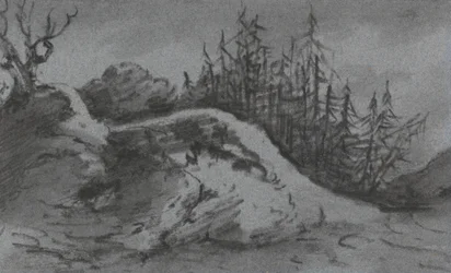Composition de rochers et de pins