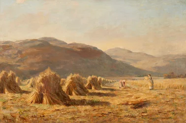 Récolte près de Dumyat, collines d