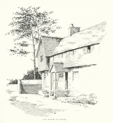 Vieilles maisons à Witley