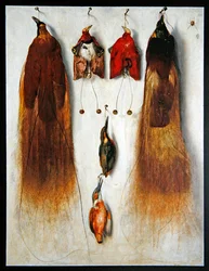 Oiseaux de Paradis