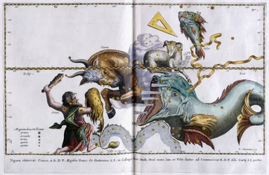 Carte céleste des constellations : Orion, Taureau, Bélier et Poissons, 1666-1668