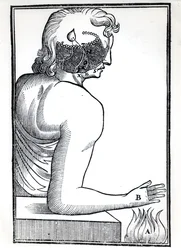 La perception des sens, de De Homine Figuris par René Descartes (1596-1650) publié à Amsterdam, 1677
