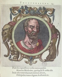 Théophraste (c.372-287 av. J.-C.), illustration de Veterum et Recentium Medicorum Philosophorumque Icones par Johannes Sambucus (1531-84), publiée par Plantin à Leyde en 1603 (gravure en couleur)
