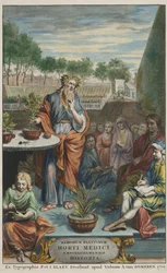 Page de titre de "Horti Medici Amstelodamensis Rariorum Plantarum Historia" vol. II, par Jan Commelin et Caspar Commelin