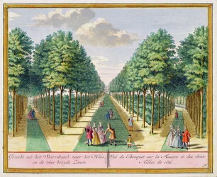 Vue du bois vers la maison et les deux avenues latérales, Watervliet, de Het Zegenpralent Kennemerlant, par Hendrick de Leth et Matthias Brouerius Van Nidek, publié c.1700-1730