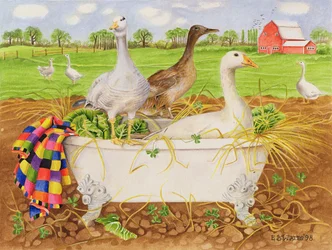 Oies dans une baignoire, 1998