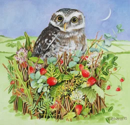 Chouette dans un panier de bois, 1993