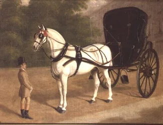 Un cheval gris et un cabriolet avec groom