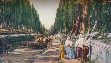 Constantinople, vers 1930