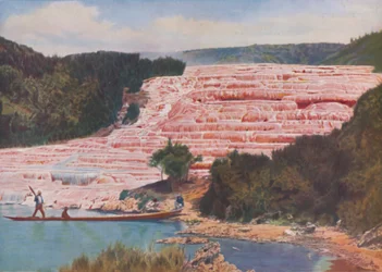 Beauté éclatante des terrasses roses de Nouvelle-Zélande avant leur destruction totale, vers 1935