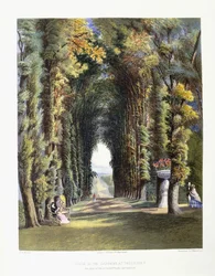Vue dans les jardins de Teddesley, siège du très honorable Lord Hatherton, 1857