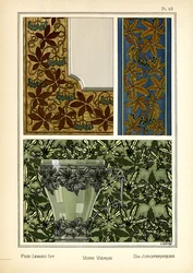 Le lierre à cinq feuilles
