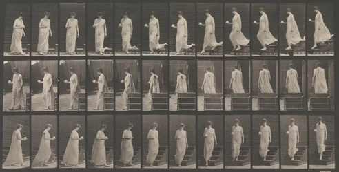 Locomotion animale. Une enquête électro-photographique... des mouvements des animaux. Commence..., années 1880