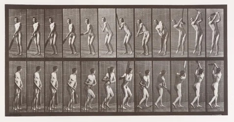 Locomotion animale. Une enquête électro-photographique sur les phases consécutives du mouvement animal