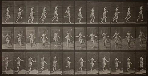 Locomotion animale, Planche 174