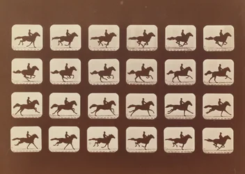 Chevaux. Courant. Phyrne L. No. 40, 1879