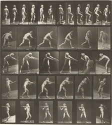 Planche Numéro 521. A : Marche. B : Montée d