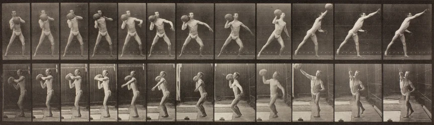 Locomotion animale, planche 319, 1887