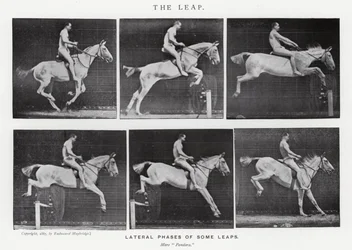 Le Saut