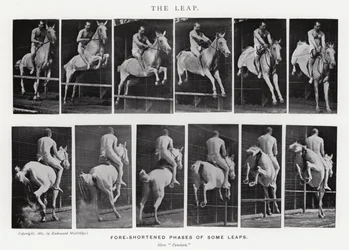 Eadweard Muybridge : Le Saut (photo n/b)