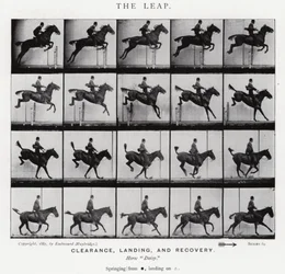 Eadweard Muybridge : Le Saut (photo n/b)