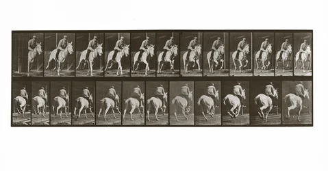 Cheval au galop avec cavalier, Planche 635 de Animal Locomotion, 1887