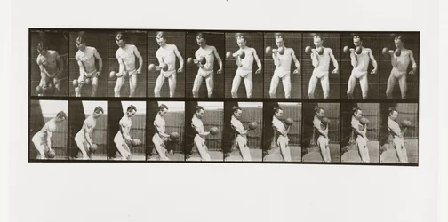 Homme levant un haltère, Planche 324 de Animal Locomotion, 1887
