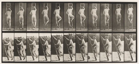 Planche 111. Montée d
