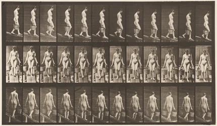 Planche 121. Descente d