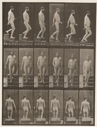 Planche 127. Descendre les escaliers, 1872-1885