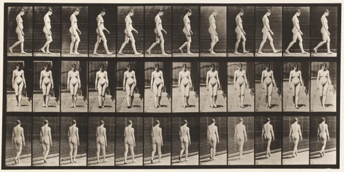 Planche 13. Marche, 1872-1885