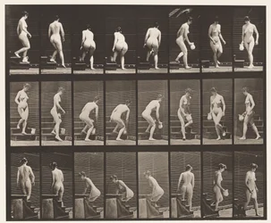 Planche 150. Descente des escaliers; Se pencher, soulever une cruche, tourner
